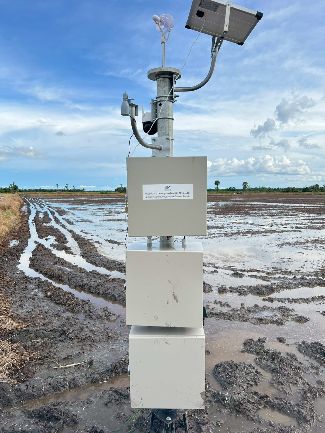 A Generation 3 RiceGuard Sentinel pole standing in a flooded rice paddy at Ranot, Songkhla